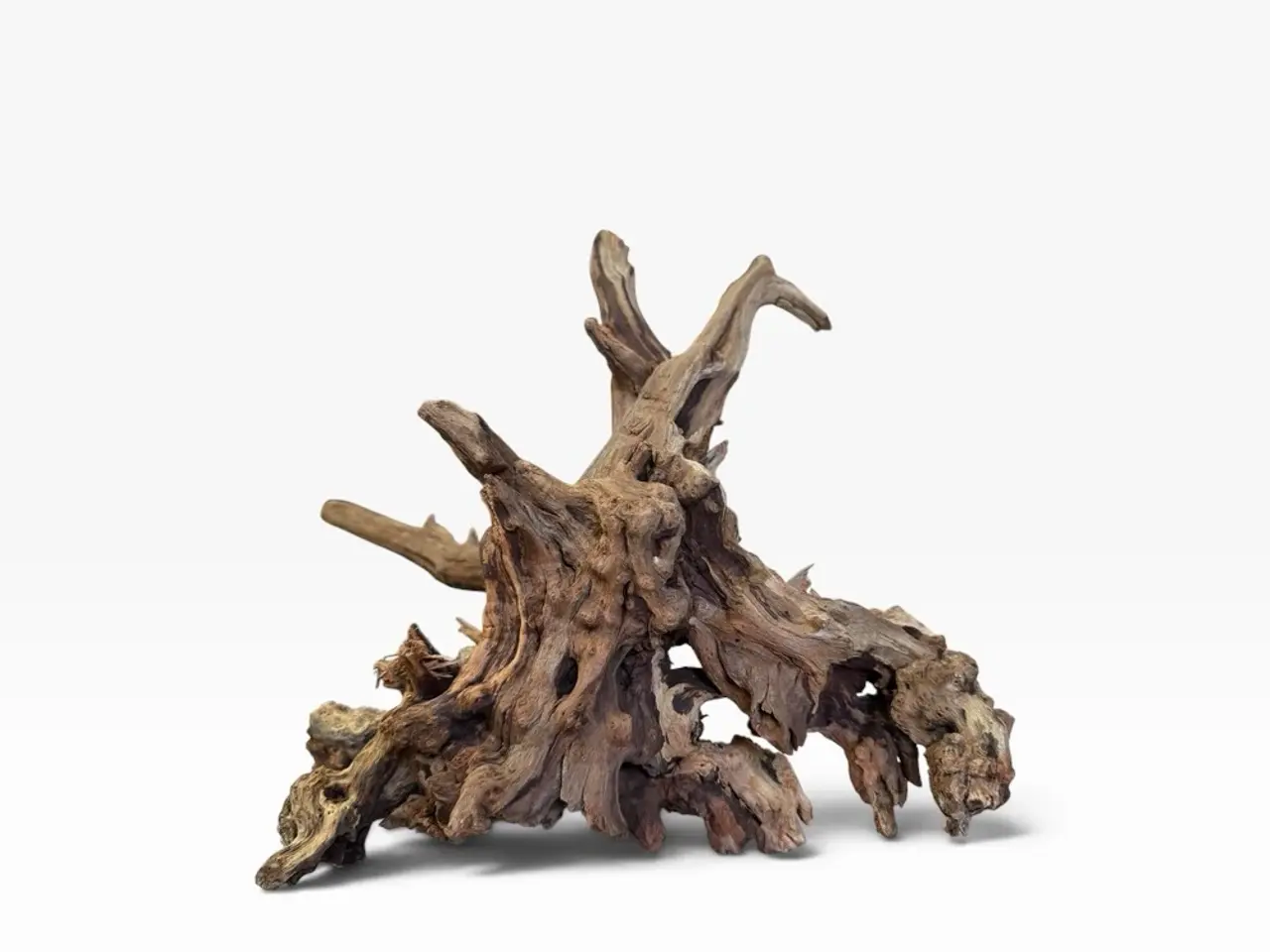 Billede 7 - Akvarierødder & naturtræ – fra 29 kr. 🌿