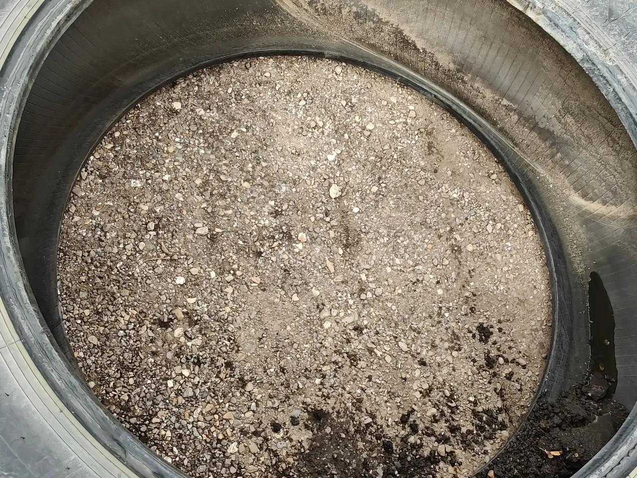Billede 12 - Petlas 480/80R46 XXX