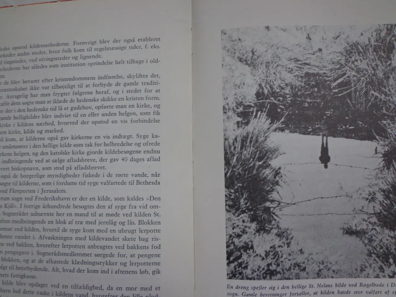 Billede 4 - Hjallerup Marked