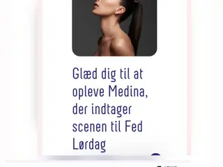 MEDINA 4 STK. BILLETTER