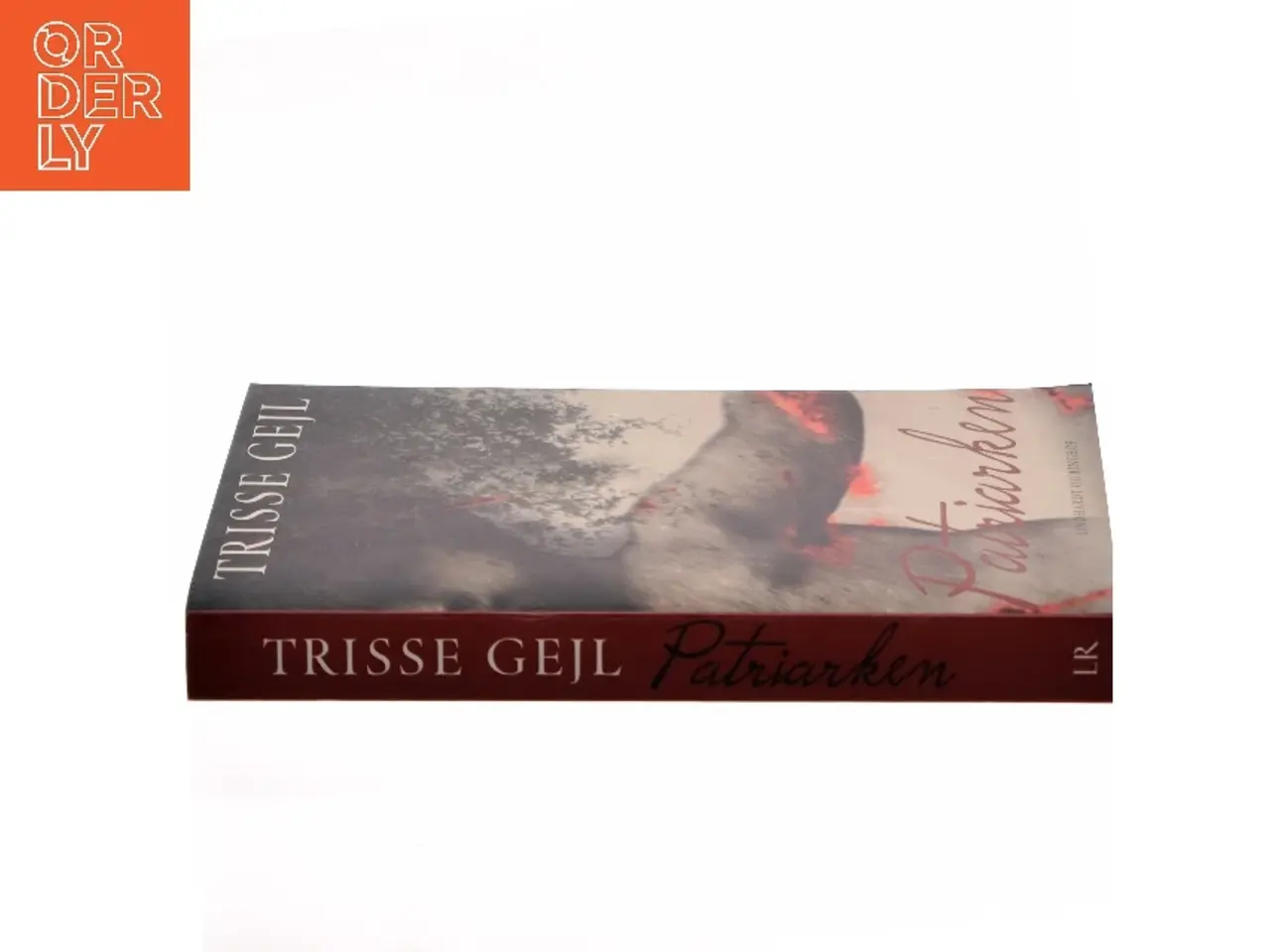 Billede 2 - Patriarken : roman af Trisse Gejl (Bog)