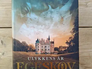 Ulykkens År EGESKOV BOG Roman af Anne-Grethe