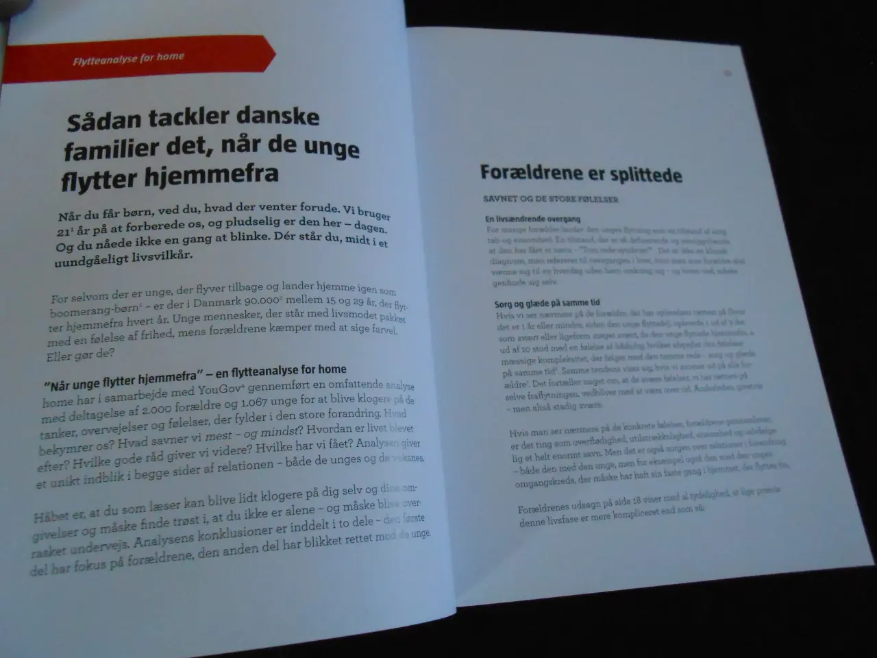 Billede 4 - Giv det bedste videre -når unge flytter hjemmefra