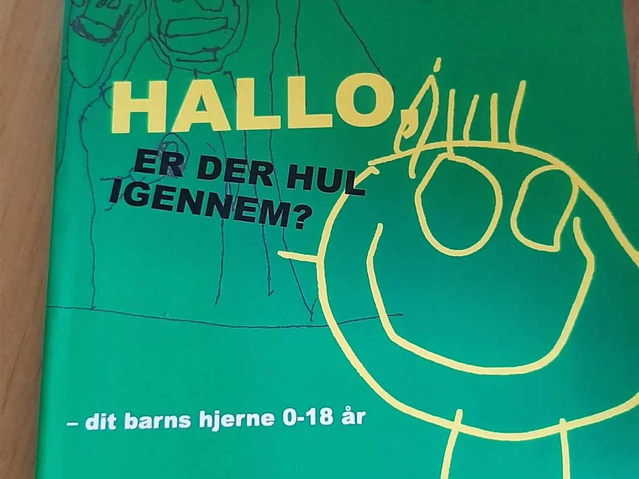 Billede 1 - Pædagog bøger