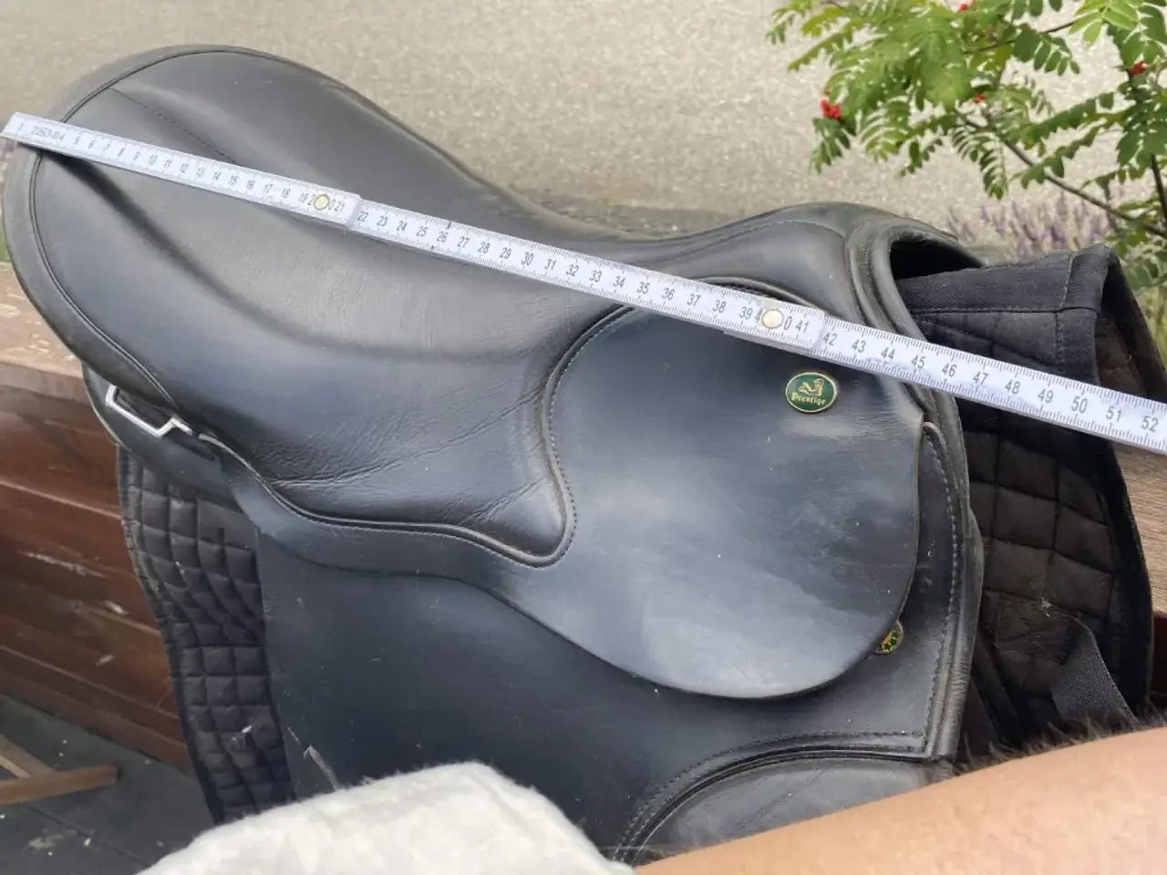 Billede 7 - TOP REITER & Prestige Appaloosa