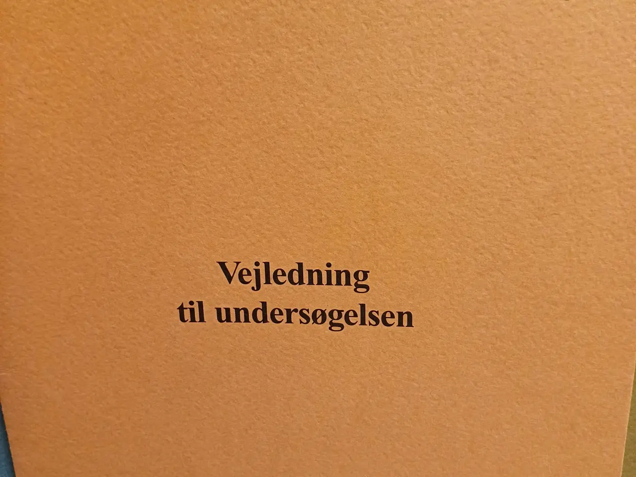 Billede 5 - "Helleruptesten" ordblindetest af voksne