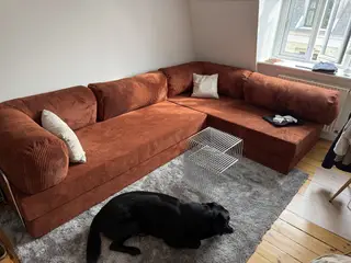 OMHU Teddy corner
