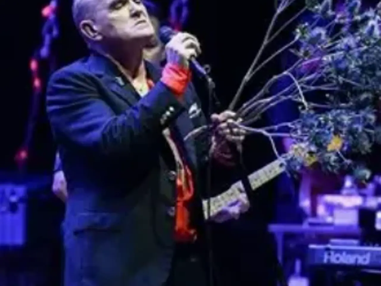 Billede 1 - 2 x Morrissey koncertbilletter