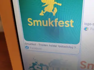 SMUKFEST 2026  ONSDSG BILLET. KØBES.