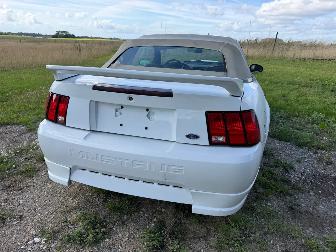 Billede 2 - Mustang 4.6 v8