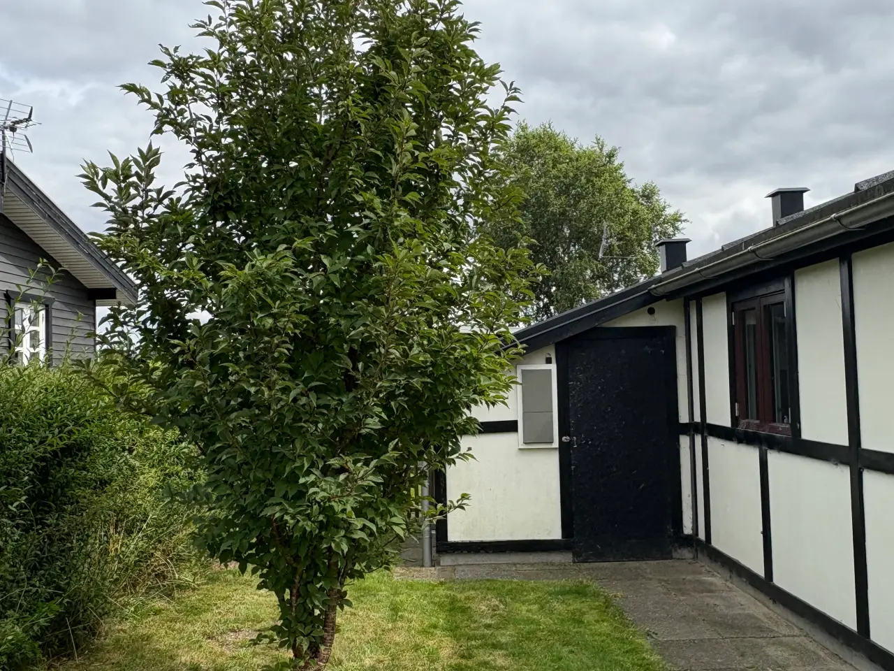 Billede 11 - 🌿 Kolonihave til salg i HF Granholt – Hadsten 🌿