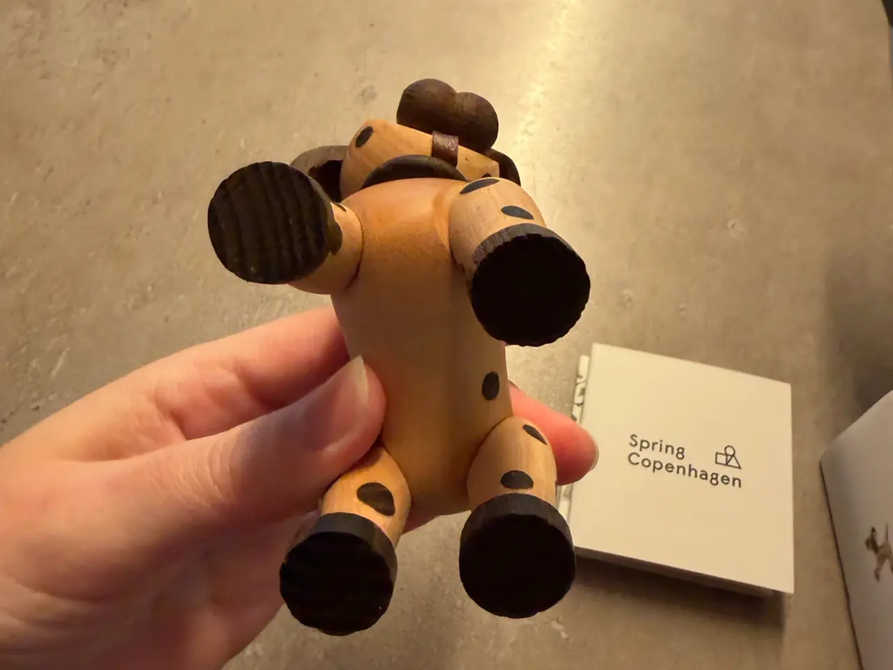 Billede 5 - Spring Copenhagen hunden Joy