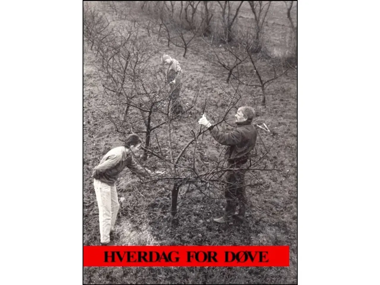 Billede 1 - Hverdag for Døve