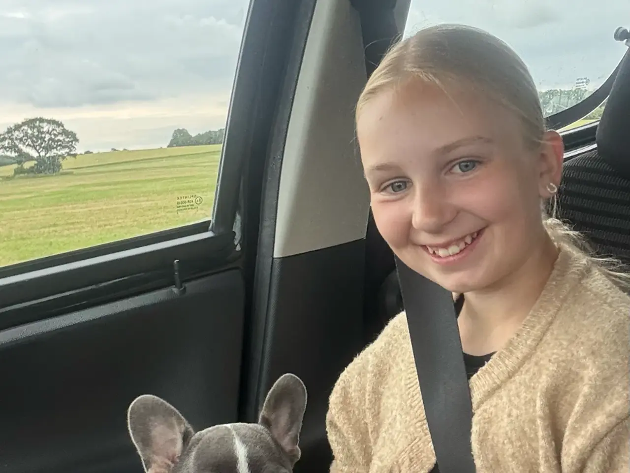 Billede 4 - Franske bulldog hvalpe kun en tæve tilbage