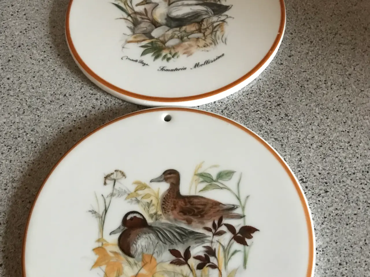 Billede 1 - Platter