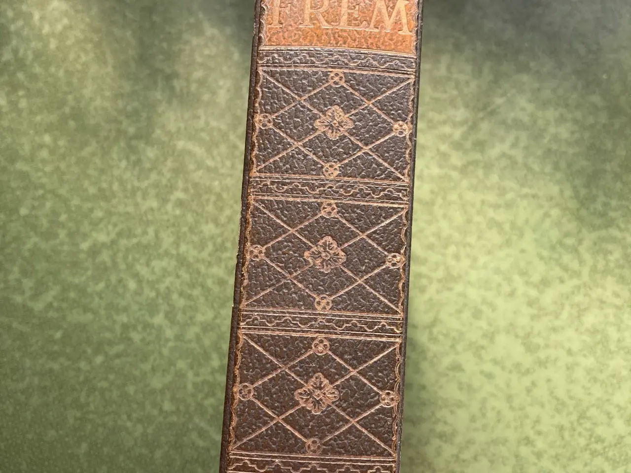 Billede 1 - Frem