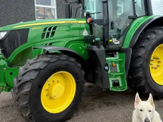 John Deere 6155M AUTOQUARD, FRONTLIFT, TLS
