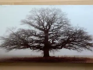 Lærred med print