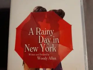 A rainy day in new york