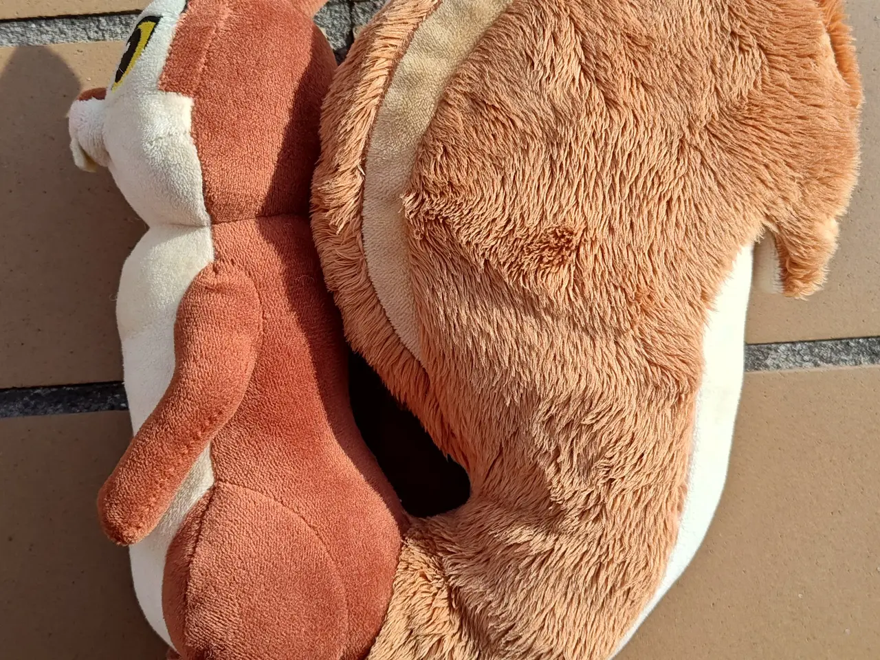 Billede 2 - Sofia den første Whatnaught Egern Bamse