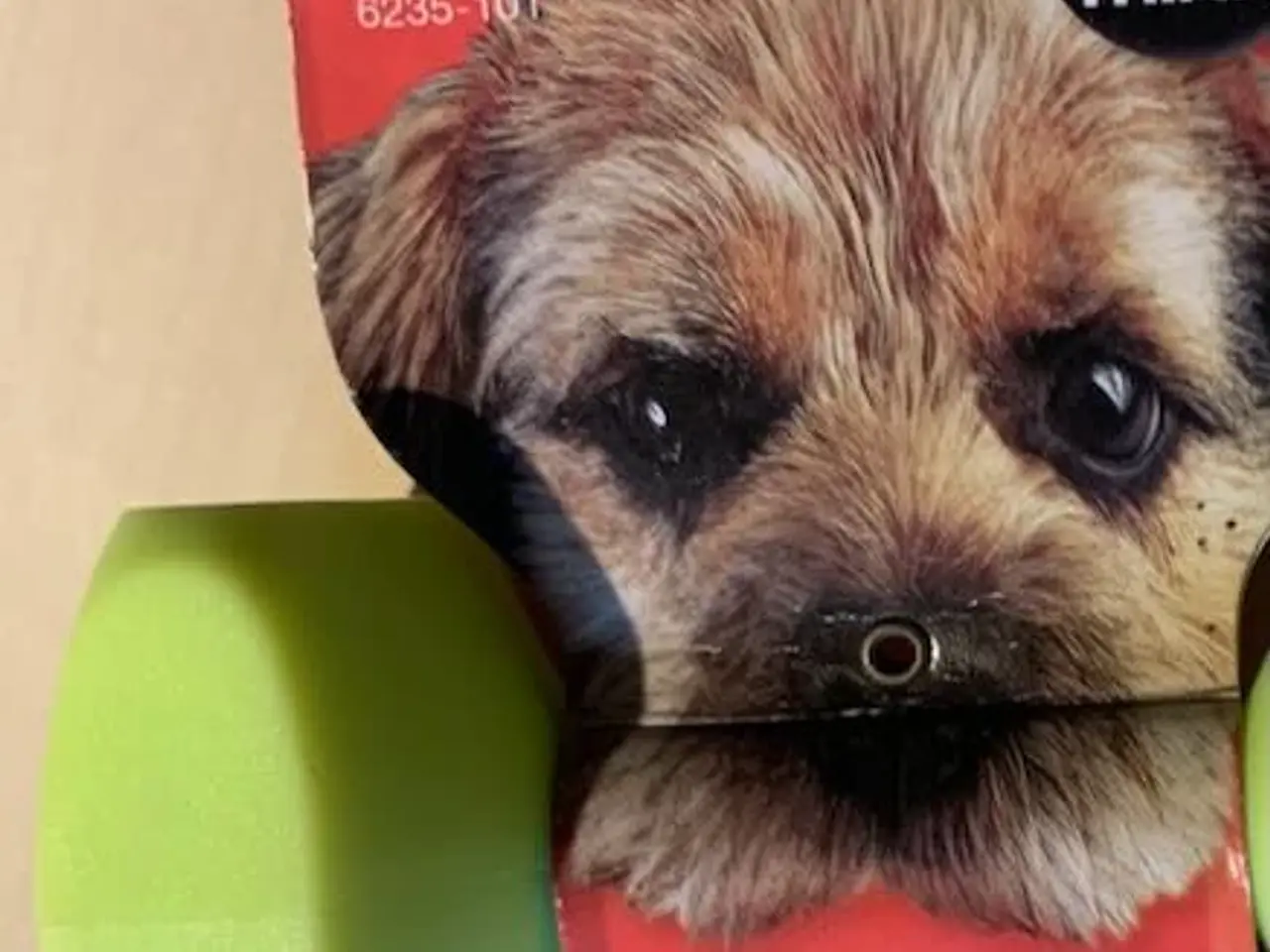 Billede 2 - Apport - Dummy - kan flyde