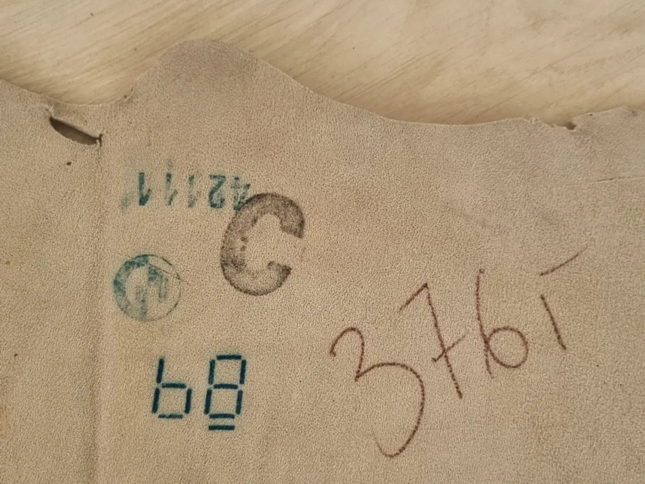 Billede 3 - Ægte sælskind