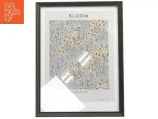 Bloom billede i ramme (str. 43x33 cm)
