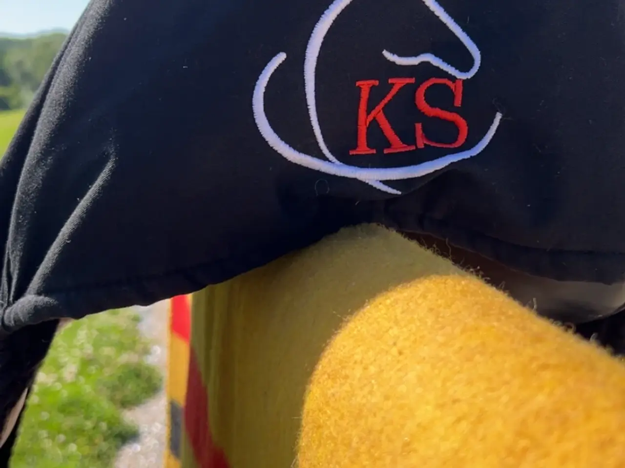 Billede 11 - KS dressursadel