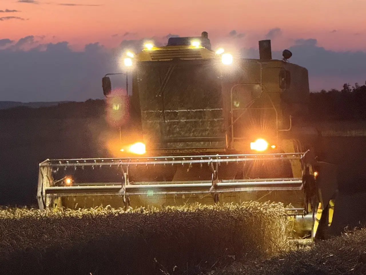 Billede 5 - New Holland TX30 Mejetærsker