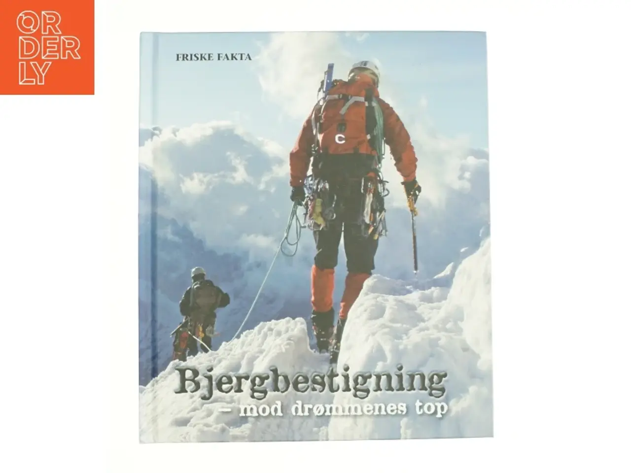 Billede 1 - Bjergbestigning af Steffen Kjær (Bog)