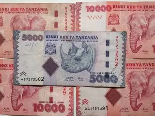 Skal du til Tanzania? 45000 SHILLINGS TZS = 113DKK