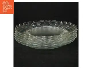 Glastallerkener (6 stk) (str. 18 cm)