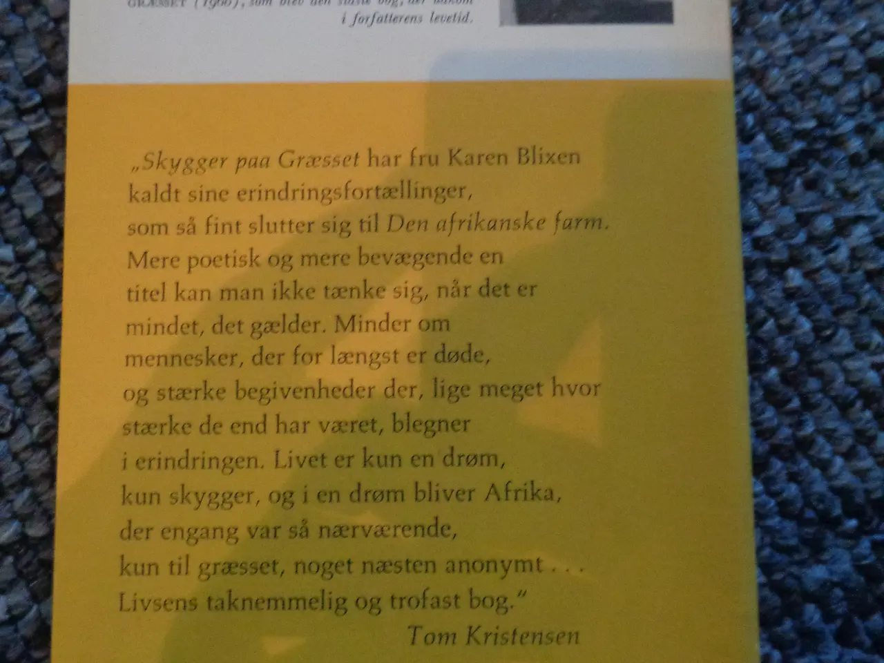 Billede 2 - Skygger på græsset