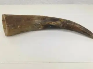 Fin horn som angivnelig stammer fra en tyr eller e