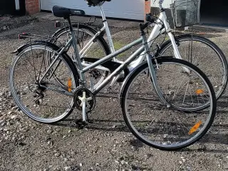 Cykler 