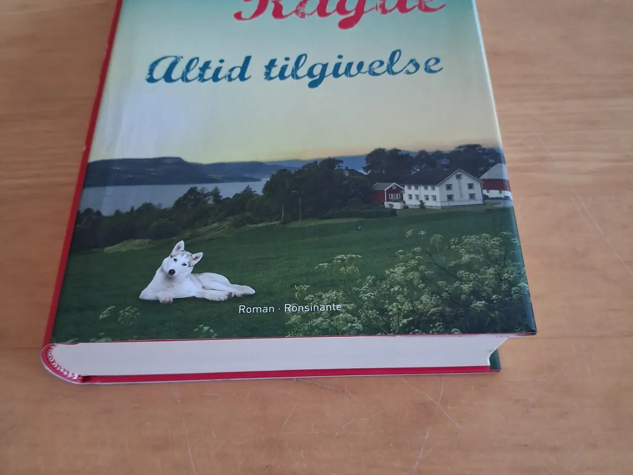 Billede 2 - Altid tilgivelse, Anne B. Ragde