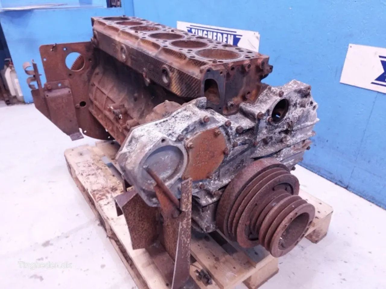 Billede 15 - Iveco 8460 SRI 10 Motor 61321549