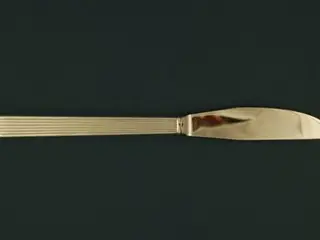 Torino Middagskniv, 21 cm.