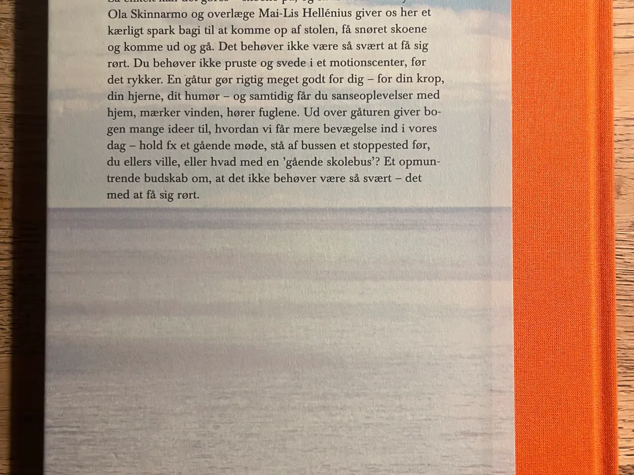 Billede 2 - Til fods, Mai-Lis Hellénius og Ola Skinnarmo