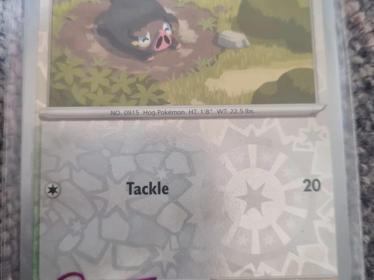 Billede 18 - Annonce 378 - Pokemon