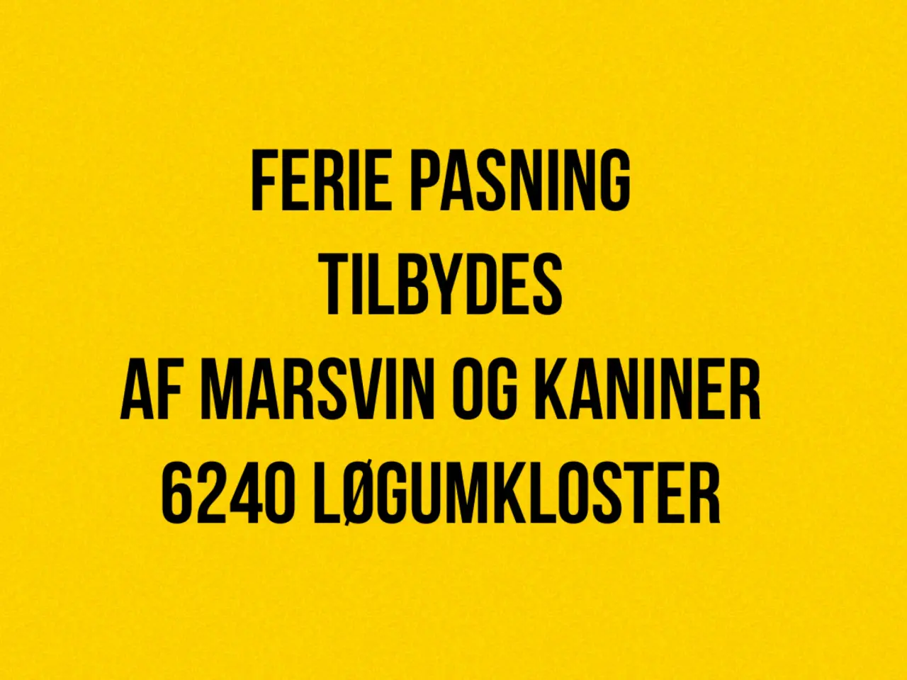 Billede 1 - Pasning af kaniner og marsvin tilbydes