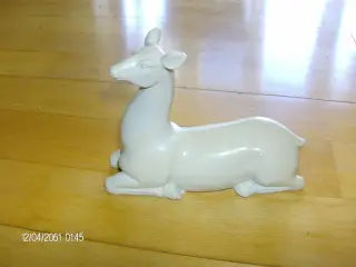 Hjort 