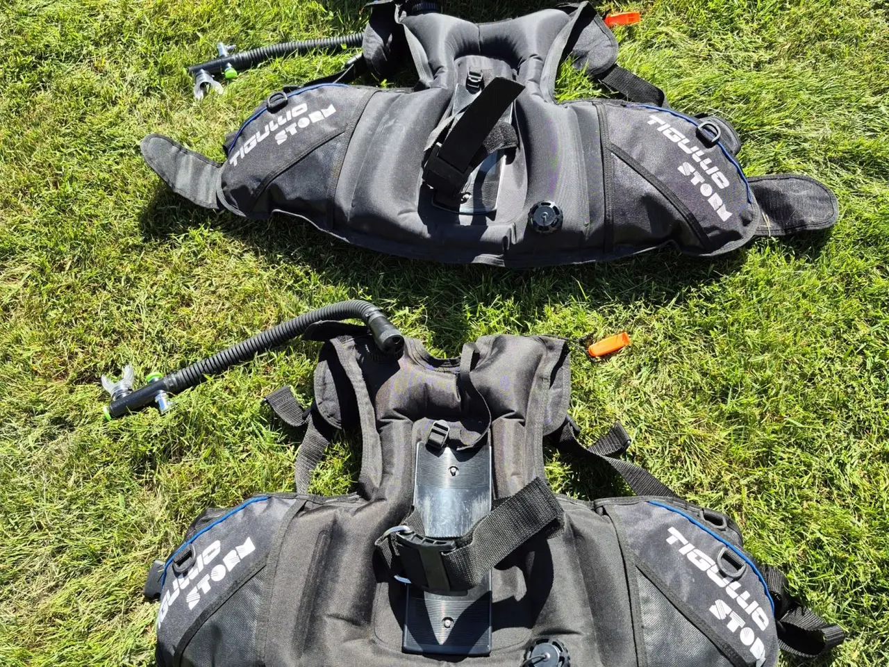 Billede 1 - BCD: TIGULLIO model STORM:  Stk. 2 stk. Small & 1 