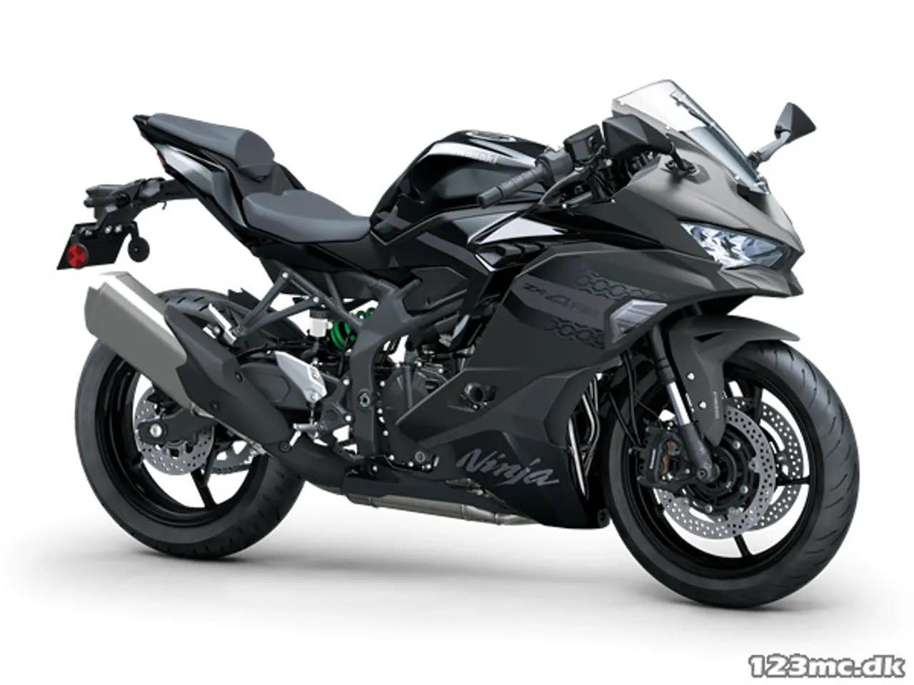 Billede 1 - Kawasaki ZX4RR