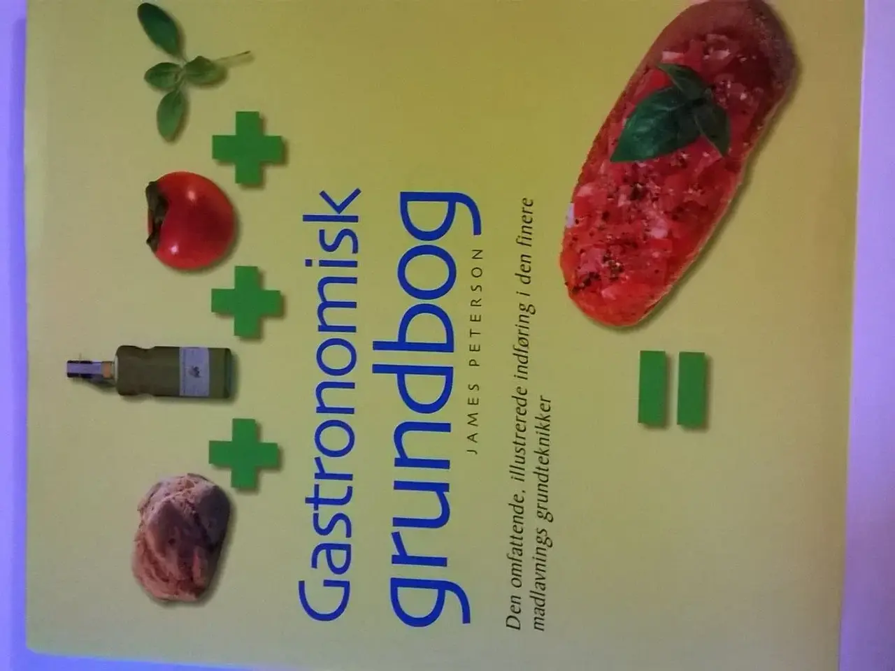 Billede 1 - Gastronomisk grundbog