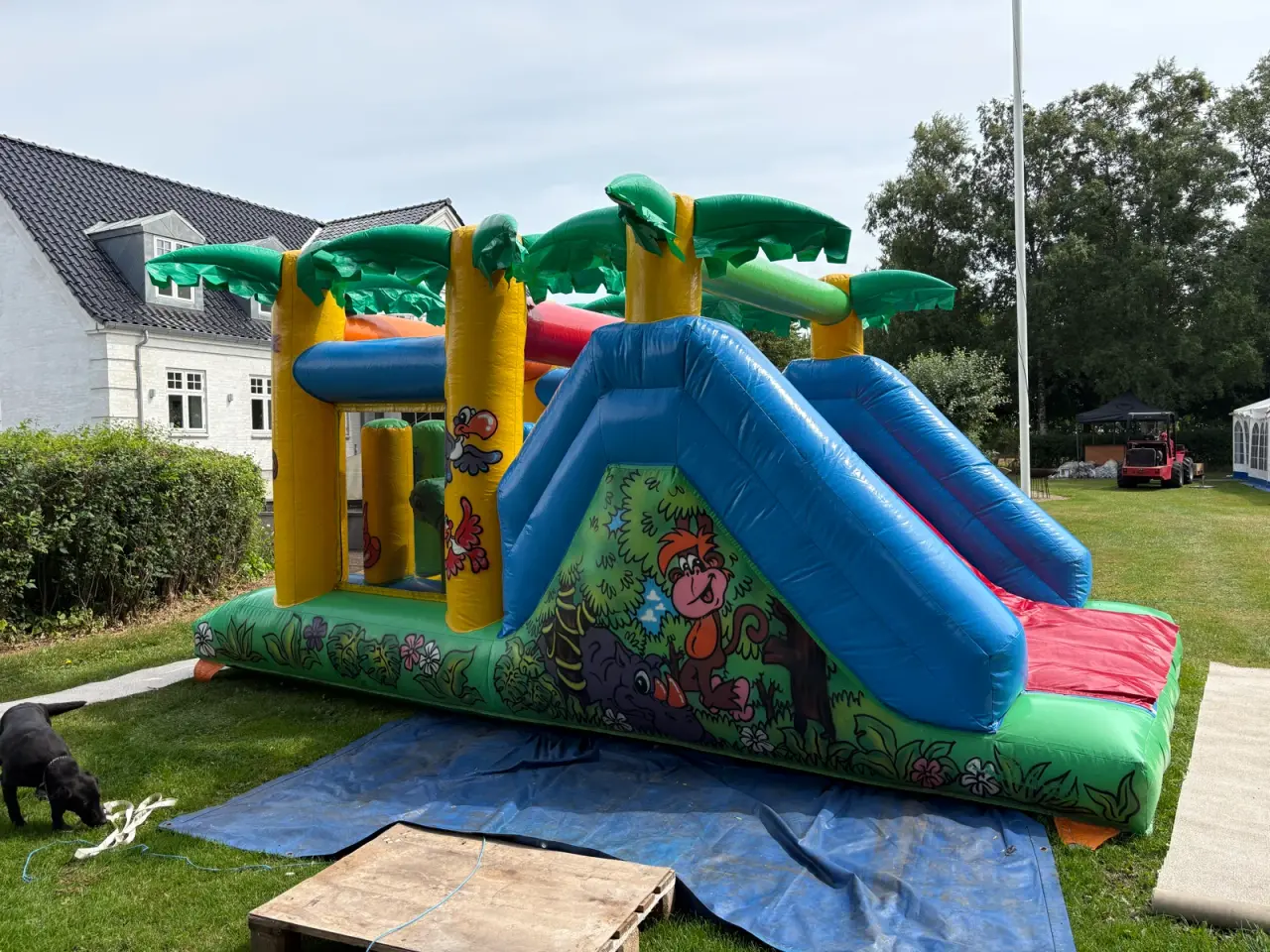 Billede 3 - Hoppeborg Jungle world