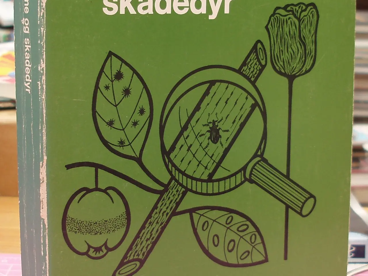 Billede 1 - Plantesygdomme og skadedyr