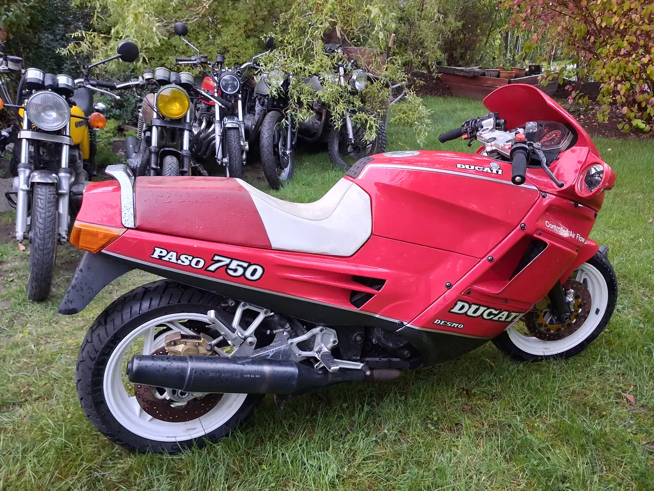 Billede 3 - Ducati paso