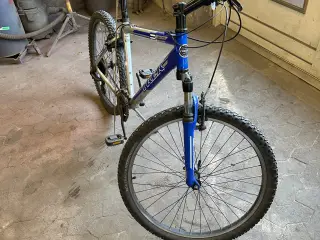 trek mtb