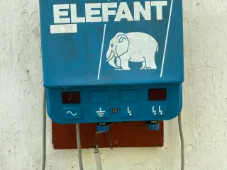 Elhegn Elefant